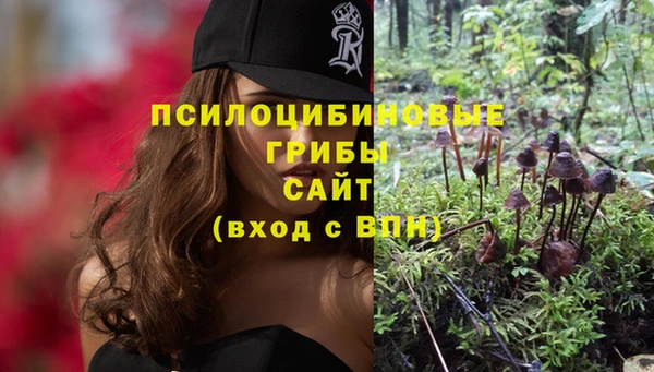 дживик Нягань