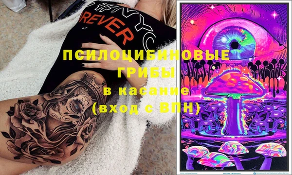 эйфоретик Алексин