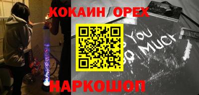 спиды Гай
