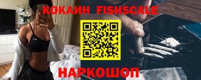 спиды Гай