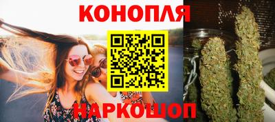 дмт Гатчина