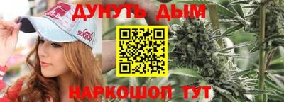 дмт Гатчина
