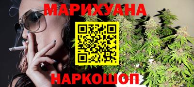 спиды Гай