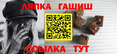 спиды Гай