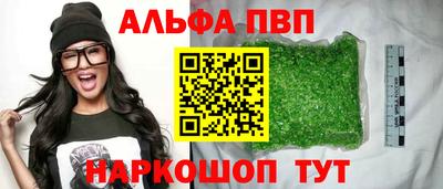 дмт Гатчина
