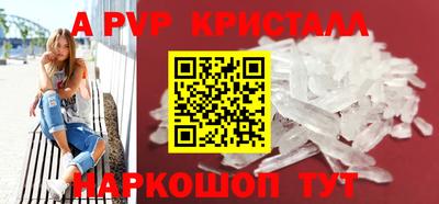 спиды Гай