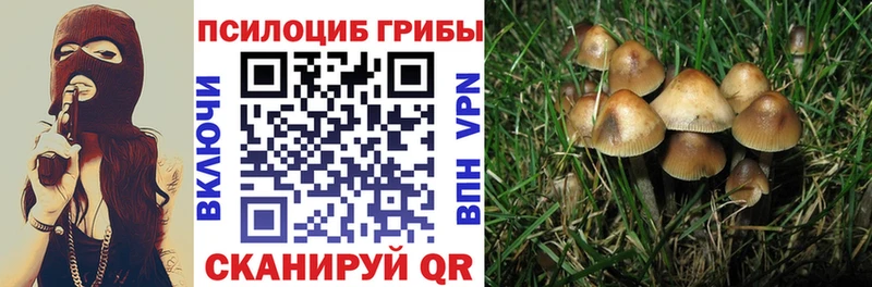 Галлюциногенные грибы ЛСД  Березники 