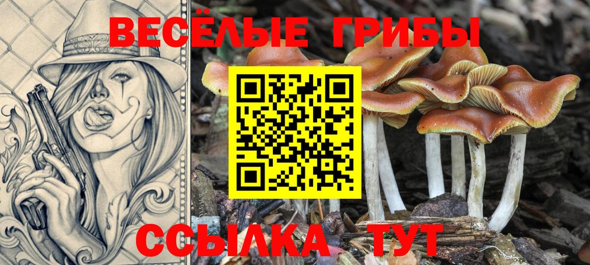 где найти   Вход с VPN  Березники  Псилоцибиновые грибы мухоморы 