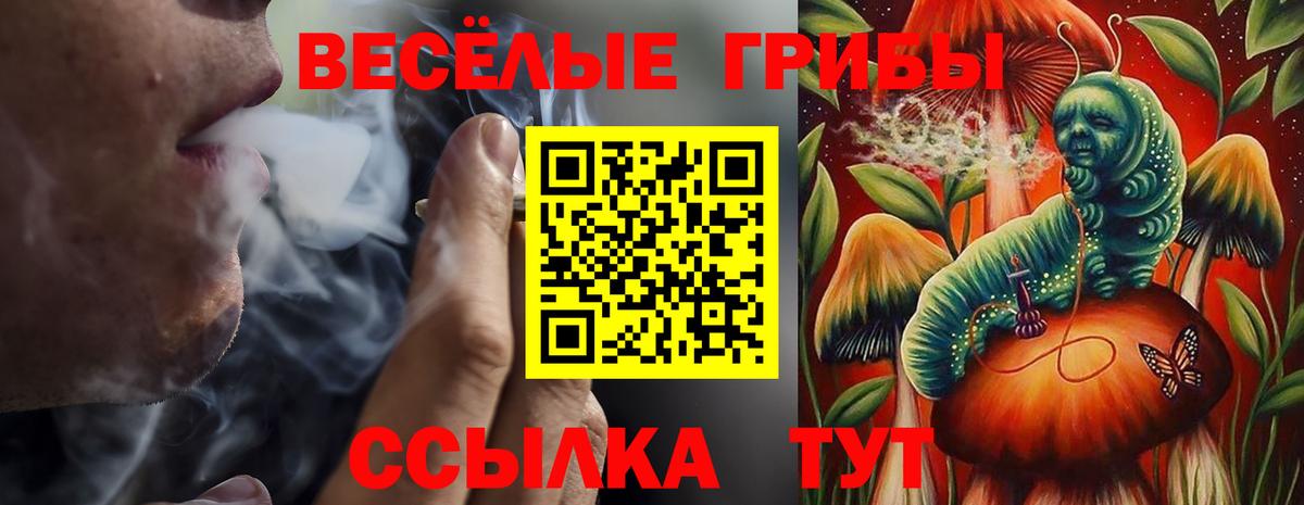 Псилоцибиновые грибы мицелий Березники